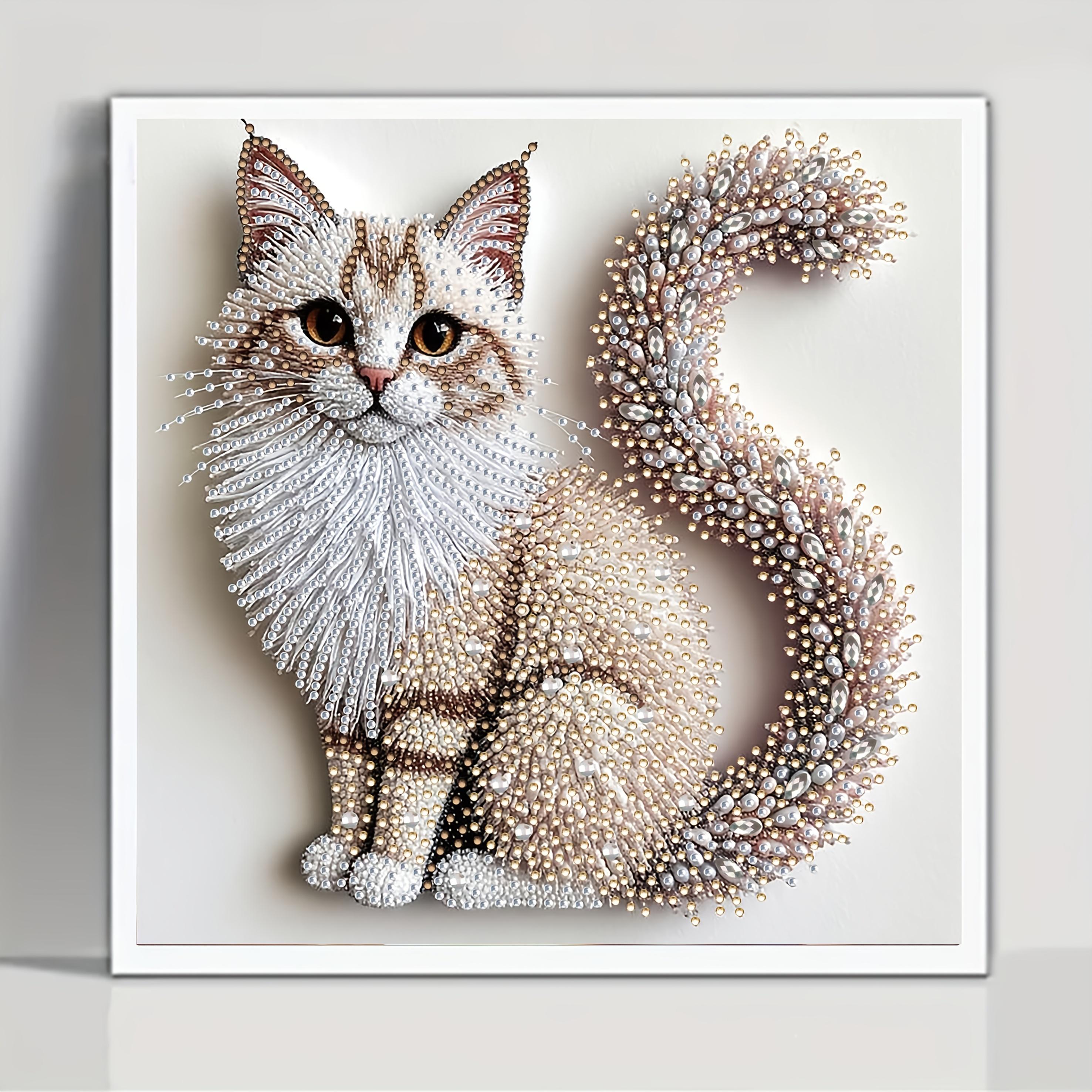 5D Diamond Painting Kit | Fluf - Resin Art Acrylic recension och pris